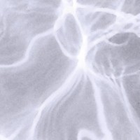 Diese Woche zum&nbsp;Sonderpreis